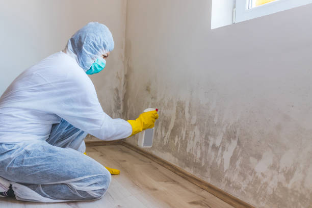 Hvac And Air Duct Mold Remediation inspection of HVAC system in Woburn